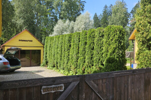 Annsan OÜ Haljastustööd