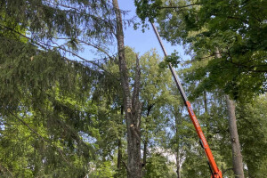 Annsan OÜ Haljastustööd