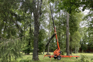 Annsan OÜ Haljastustööd