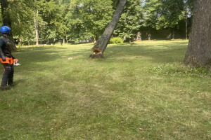 Annsan OÜ Haljastustööd