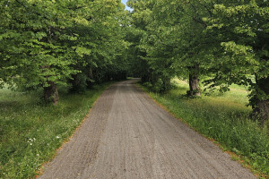 Annsan OÜ Haljastustööd