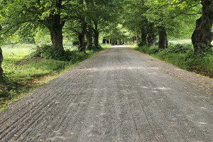 Annsan OÜ Haljastustööd