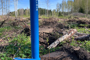 Annsan OÜ Haljastustööd