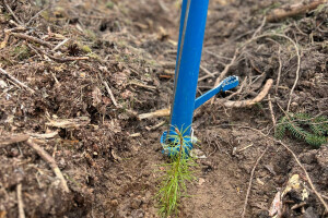 Annsan OÜ Haljastustööd
