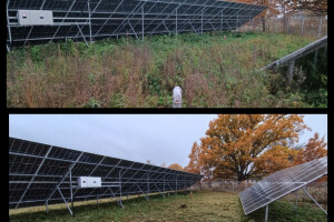 Puidunurk OÜ Haljastustööd