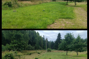 Puidunurk OÜ Haljastustööd