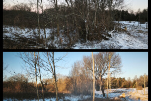 Puidunurk OÜ Haljastustööd