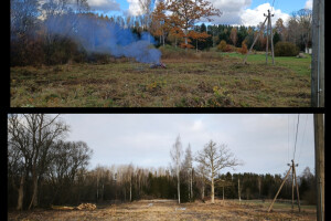 Puidunurk OÜ Haljastustööd