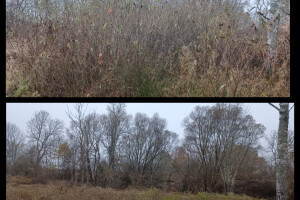 Puidunurk OÜ Haljastustööd