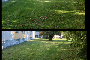 Puidunurk OÜ Haljastustööd