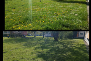 Puidunurk OÜ Haljastustööd