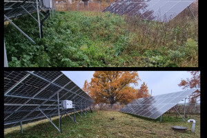 Puidunurk OÜ Haljastustööd