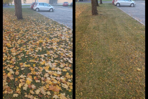 Puidunurk OÜ Haljastustööd