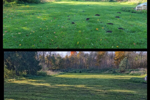 Puidunurk OÜ Haljastustööd