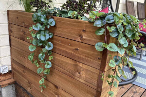 Puidunurk OÜ Puusepatööd