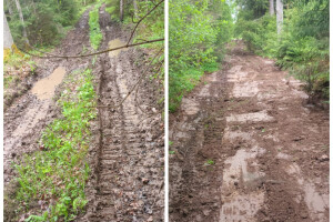 KITEBEST OÜ Maaparandustööd