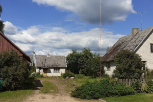 KITEBEST OÜ Pinnasetööd