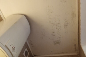 VP Viimistlus ja Puhastus OÜ Puhastusteenused