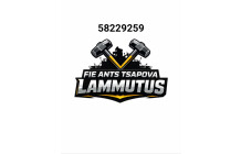 Ants Tsapova FIE logo