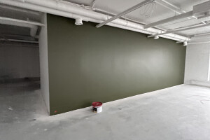 DecorLux Ehitus OÜ Maalritööd
