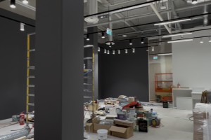 DecorLux Ehitus OÜ Maalritööd
