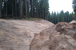 JAPE Teenused OÜ Kaevetööd