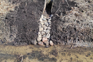 JAPE Teenused OÜ Kaevetööd