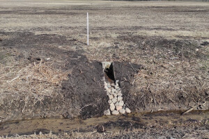 JAPE Teenused OÜ Kaevetööd