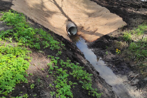 JAPE Teenused OÜ Kaevetööd