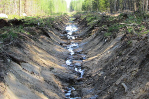 JAPE Teenused OÜ Kaevetööd