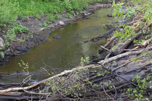 JAPE Teenused OÜ Kaevetööd