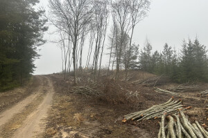 JAPE Teenused OÜ Kaevetööd