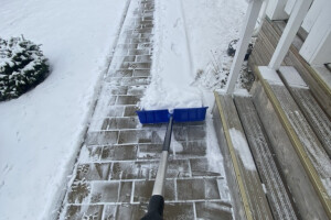 VESANT TEENUSED OÜ Puhastusteenused