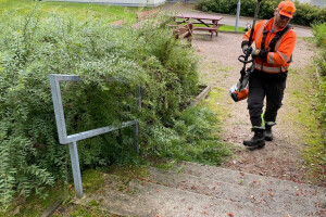 VESANT TEENUSED OÜ Puhastusteenused