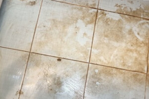 GRASS EESTI OÜ Puhastusteenused