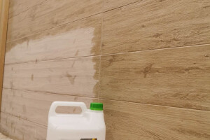 GRASS EESTI OÜ Puhastusteenused