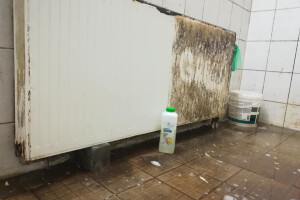 GRASS EESTI OÜ Puhastusteenused