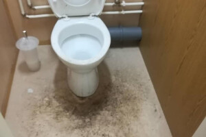 GRASS EESTI OÜ Puhastusteenused