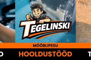 Tegelinski Teenused OÜ Puhastusteenused