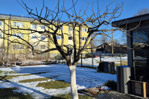 IVARI OÜ Haljastustööd