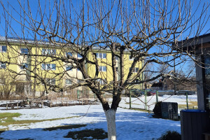 IVARI OÜ Haljastustööd