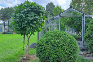 IVARI OÜ Haljastustööd