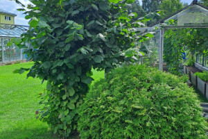 IVARI OÜ Haljastustööd