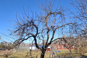 IVARI OÜ Haljastustööd