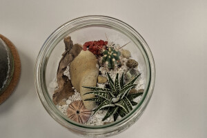 IVARI OÜ Haljastustööd