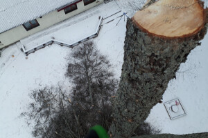 ARBORREIN OÜ Haljastustööd