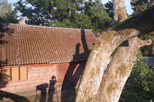ARBORREIN OÜ Haljastustööd