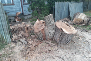 ARBORREIN OÜ Haljastustööd