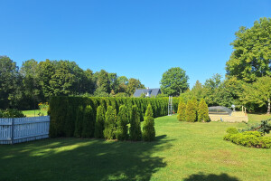 ARBORREIN OÜ Haljastustööd