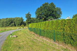 ARBORREIN OÜ Haljastustööd